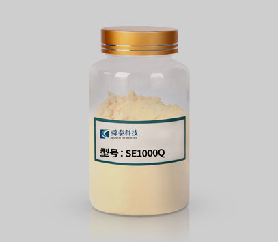 SE1000Q